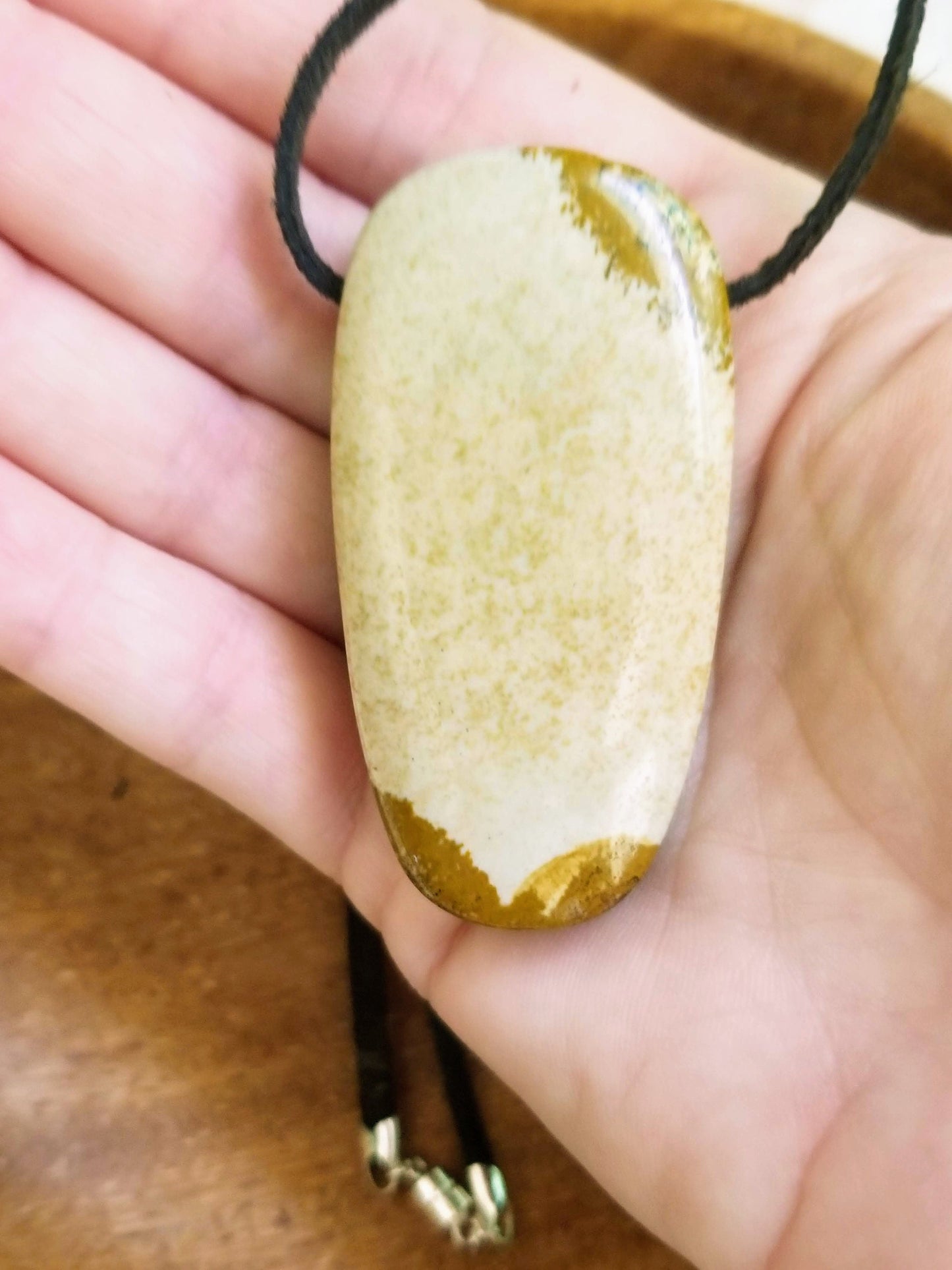 Picture Jasper Gemstone Pendant on Suede with .925 Sterling Silver Findings & Magnetic Clasp