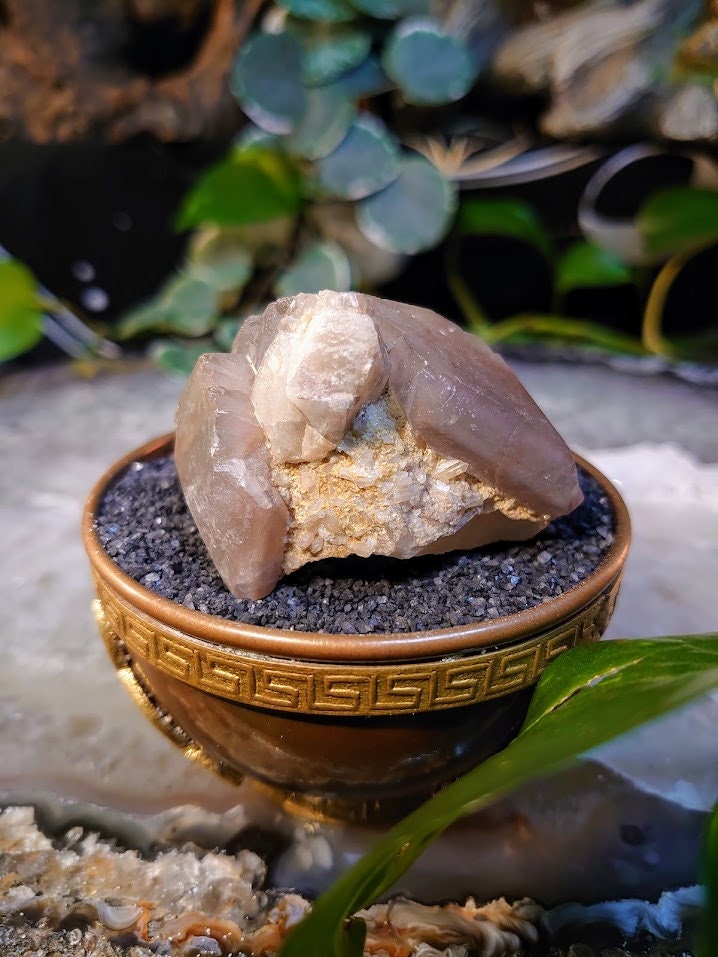 103.4g Hematoid Elestial Quartz Point/Cluster from Zambia for Home and Altar Decor / Collection / Energy