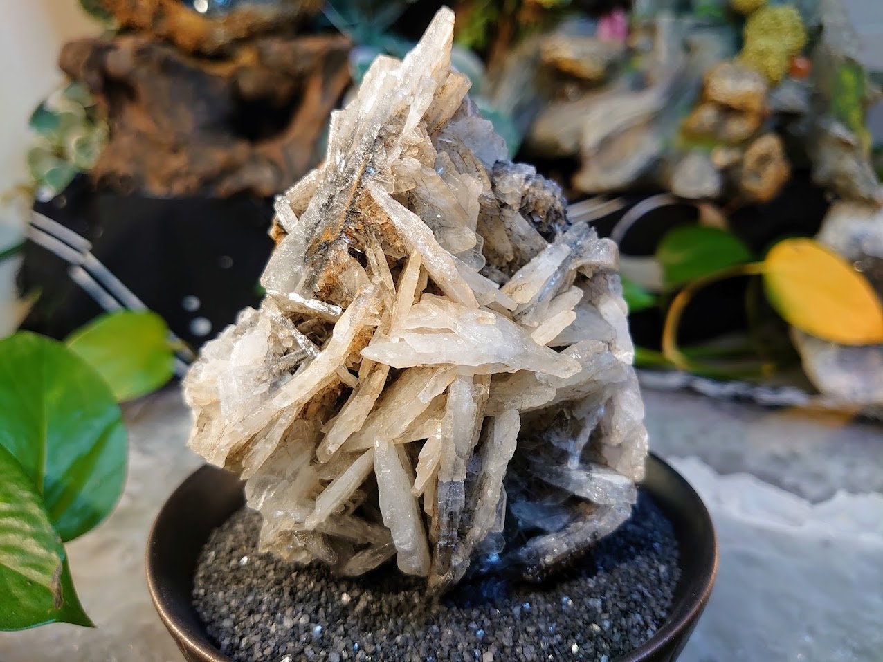 582g Lustrous Grey Barite Leaf Formation from Tenke Fungurume, Congo for Altar and Home Decor / Energy Work / Crystal Healing / Reiki