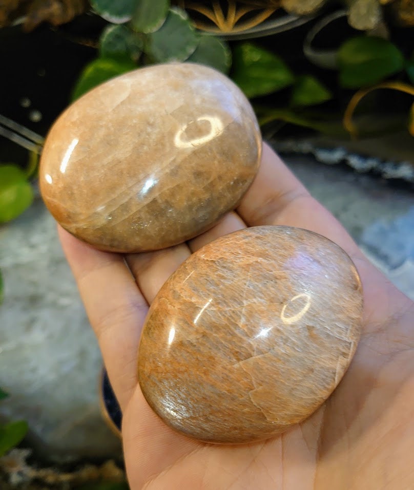 Peach Moonstone Medium Palmstones/Gallet from Madagascar for Crystal Healing/ Reiki/ Meditation/ Crystal & Mineral Collectors