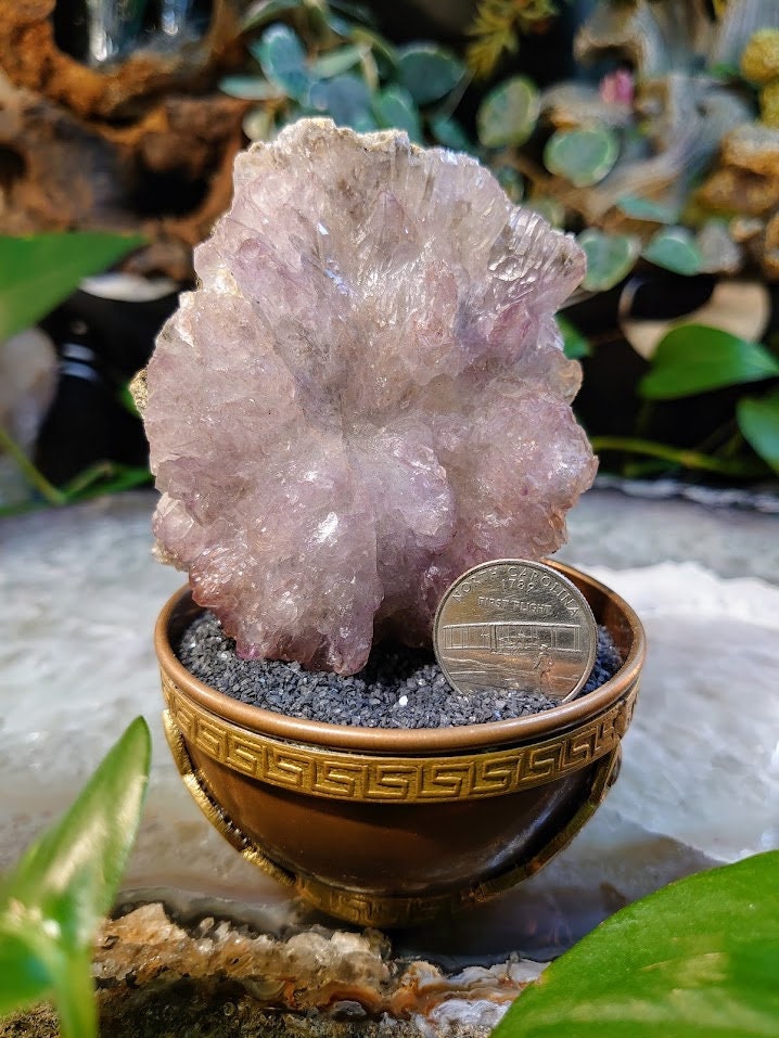 168g Amethyst Cluster with Water Etching and Black Tourmaline from Karur, India for Meditation / Collection/ Home & Altar Decor / Collection