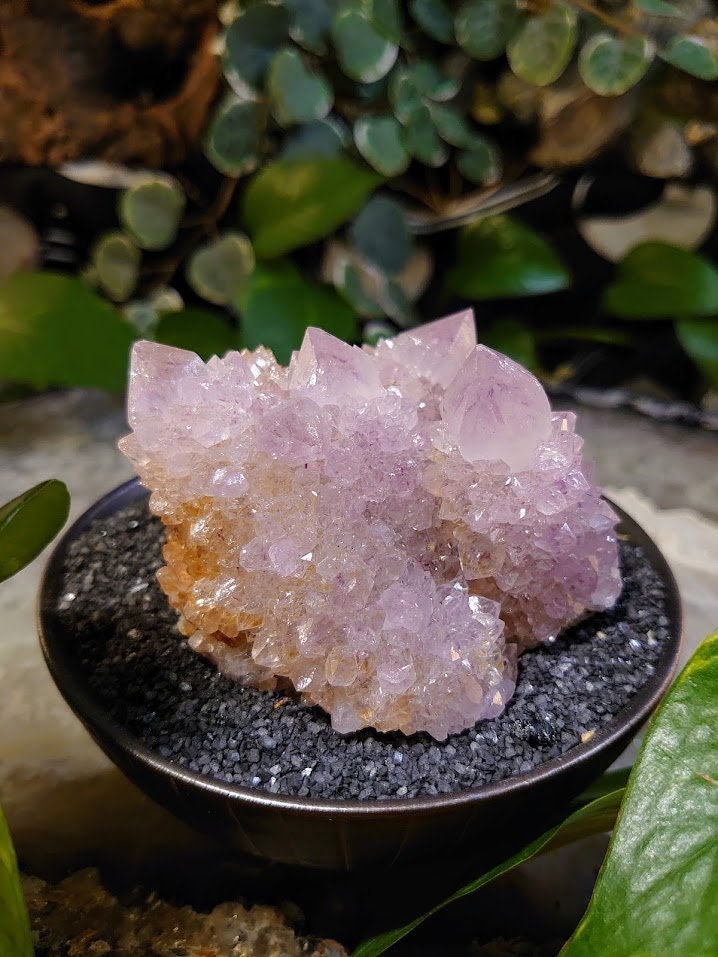 308g Spirit Quartz Cluster from ZA / Cactus Quartz / Spirit Amethyst for Crystal Healing / Meditation/ Reiki / Gifting
