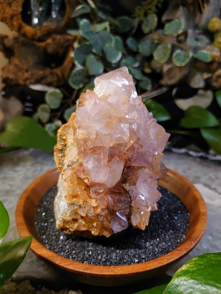 654g Spirit Quartz Hematoid Cluster from ZA / Cactus Quartz / Spirit Amethyst for Crystal Healing / Meditation/ Reiki / Gifting