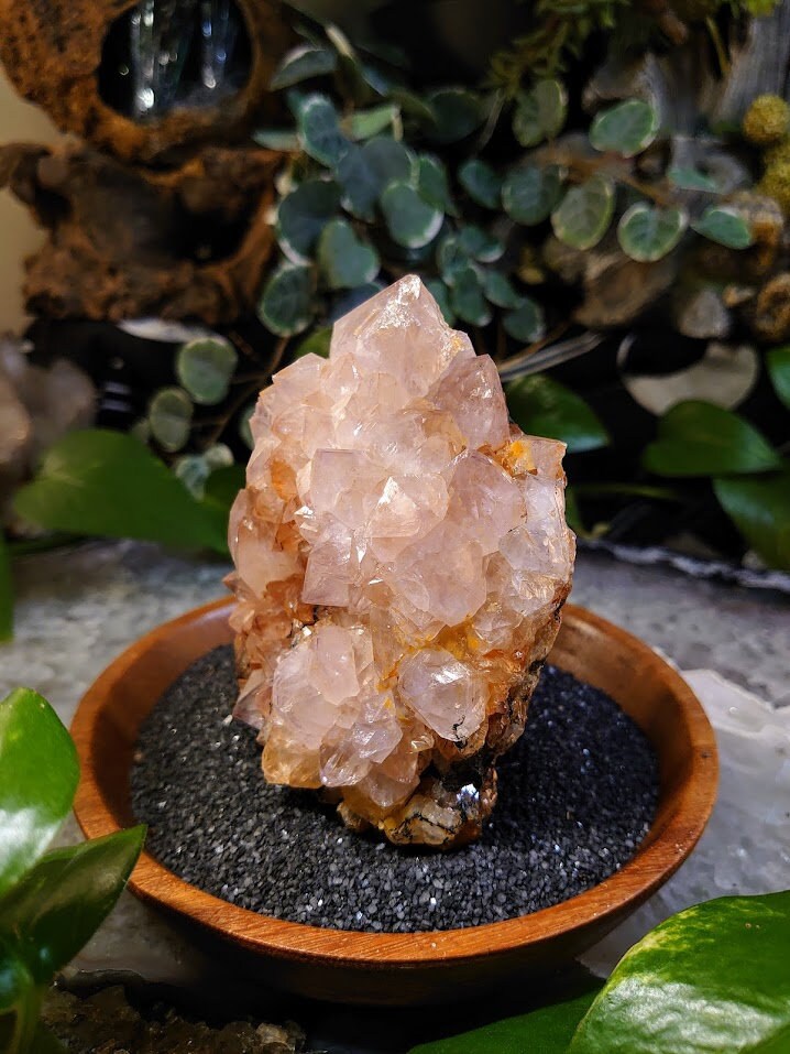654g Spirit Quartz Hematoid Cluster from ZA / Cactus Quartz / Spirit Amethyst for Crystal Healing / Meditation/ Reiki / Gifting