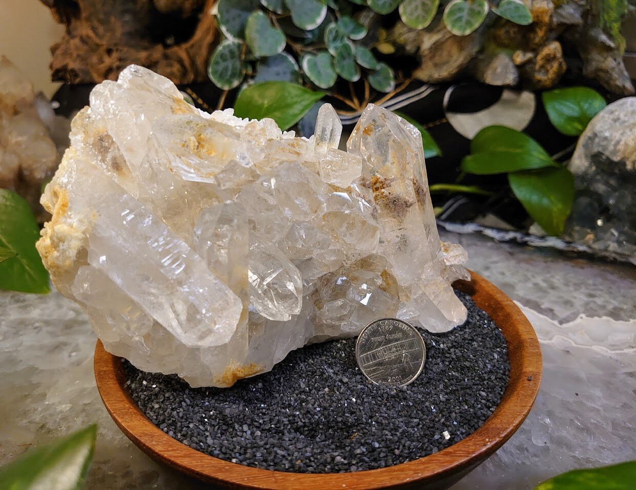 937g Clear Quartz Cluster with Golden Healer and Lodolite Inclusions from Minas Gerais, Brazil for Crystal Healing / Altar and Home Decor