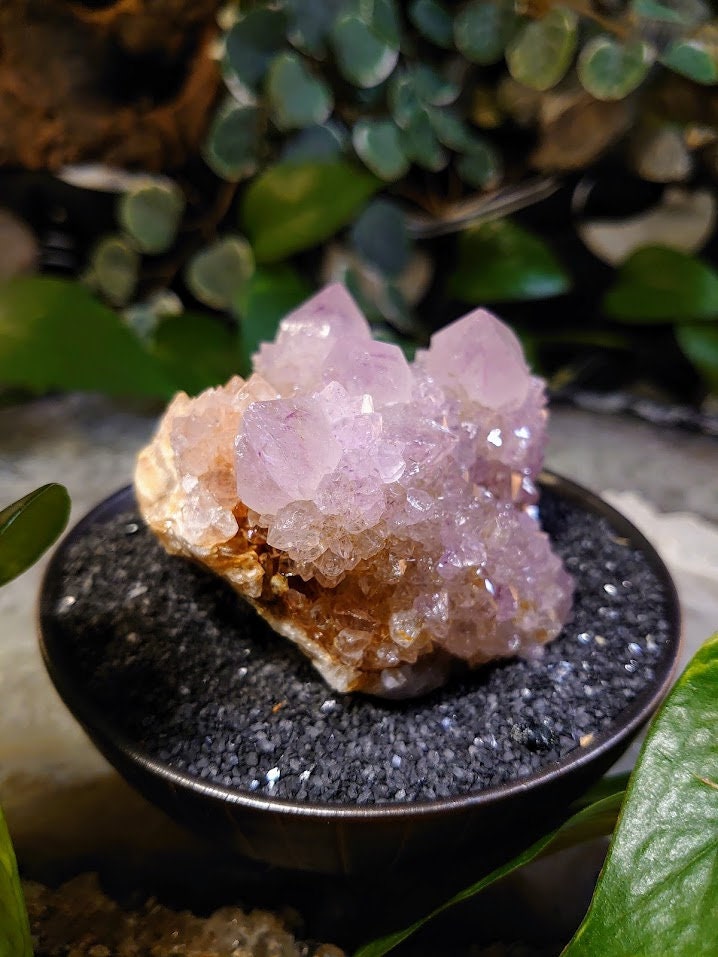 308g Spirit Quartz Cluster from ZA / Cactus Quartz / Spirit Amethyst for Crystal Healing / Meditation/ Reiki / Gifting