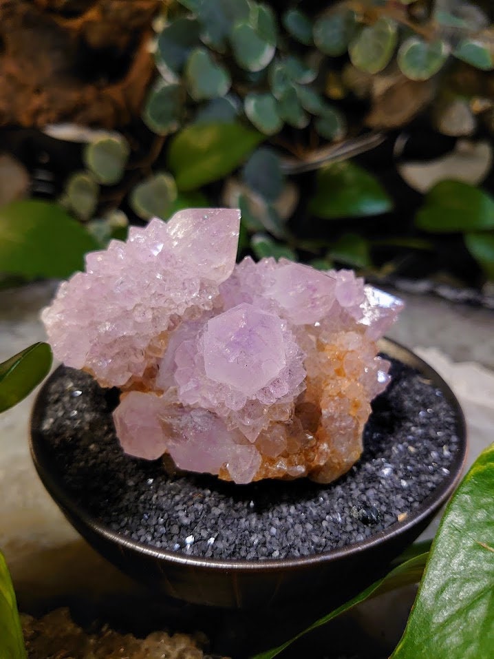 308g Spirit Quartz Cluster from ZA / Cactus Quartz / Spirit Amethyst for Crystal Healing / Meditation/ Reiki / Gifting