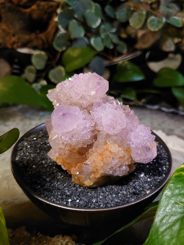 308g Spirit Quartz Cluster from ZA / Cactus Quartz / Spirit Amethyst for Crystal Healing / Meditation/ Reiki / Gifting