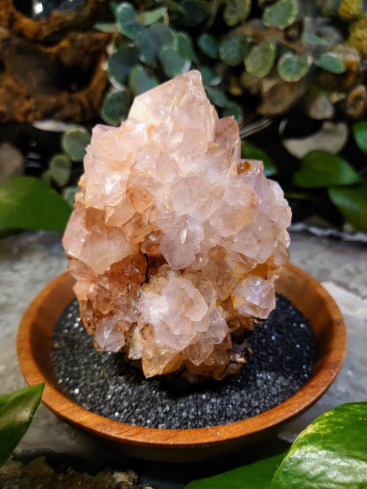 654g Spirit Quartz Hematoid Cluster from ZA / Cactus Quartz / Spirit Amethyst for Crystal Healing / Meditation/ Reiki / Gifting