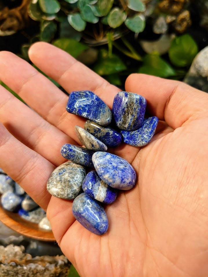 Small Lapis Lazuli Tumbled Stones from Afghanistan for Gifts/ Crystal Healing/ Meditation/ Reiki/ Chakra Balancing/ Decor/ Collection