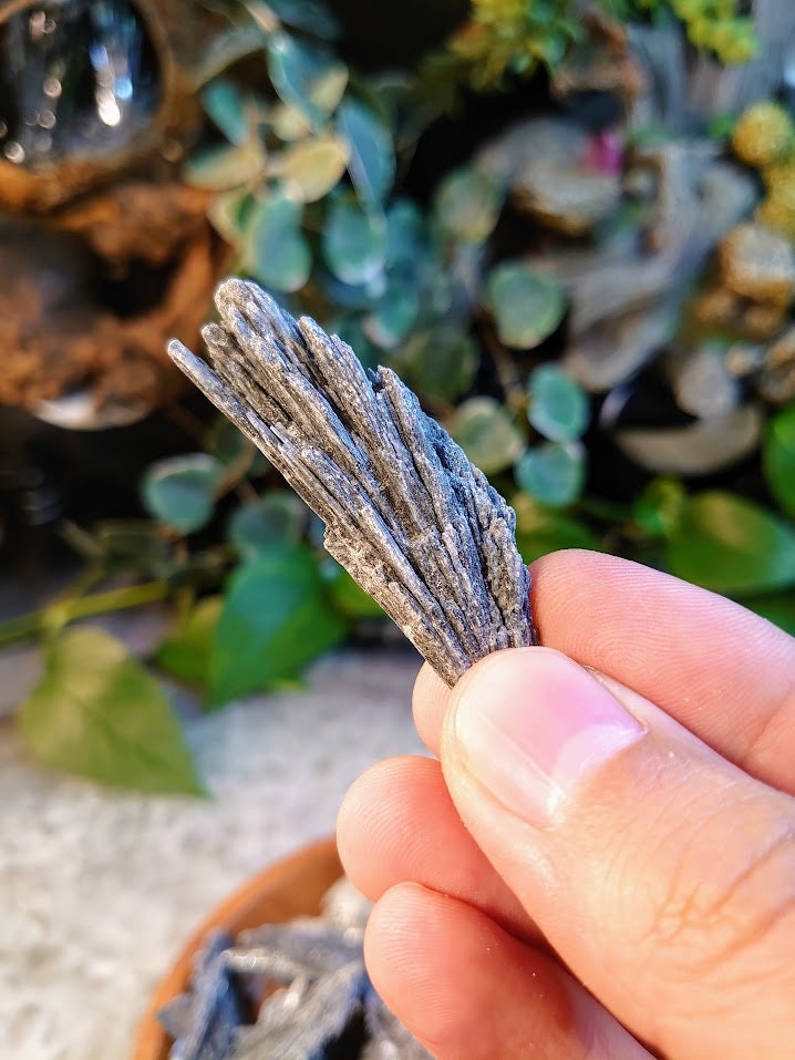 Black Kyanite Fans/ from Brazil for Meditation / Choose Your Size/ Grids / Cord Cutting / Metaphysical / Jewelrycrafting
