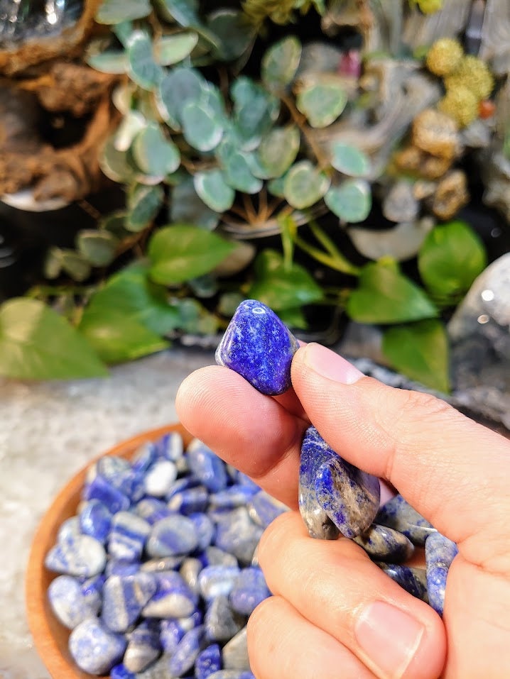 Small Lapis Lazuli Tumbled Stones from Afghanistan for Gifts/ Crystal Healing/ Meditation/ Reiki/ Chakra Balancing/ Decor/ Collection