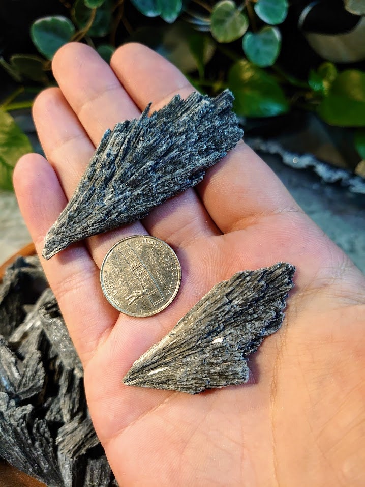 Black Kyanite Fans/ from Brazil for Meditation / Choose Your Size/ Grids / Cord Cutting / Metaphysical / Jewelrycrafting