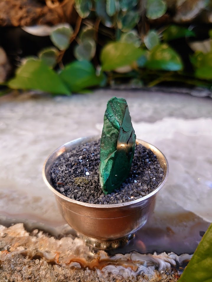 Small Malachite Polished Slice from Kasompe, Congo for Home and Altar Decor / Collection / Crystal Healing