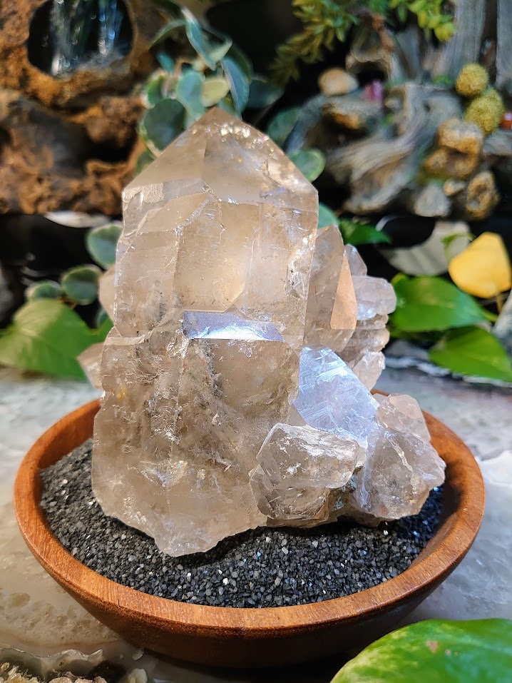 1,497g Smoky Quartz Cluster from Minas Gerais, Brazil for Crystal Healing/ Meditation/ Altar and Home Decor / Collection