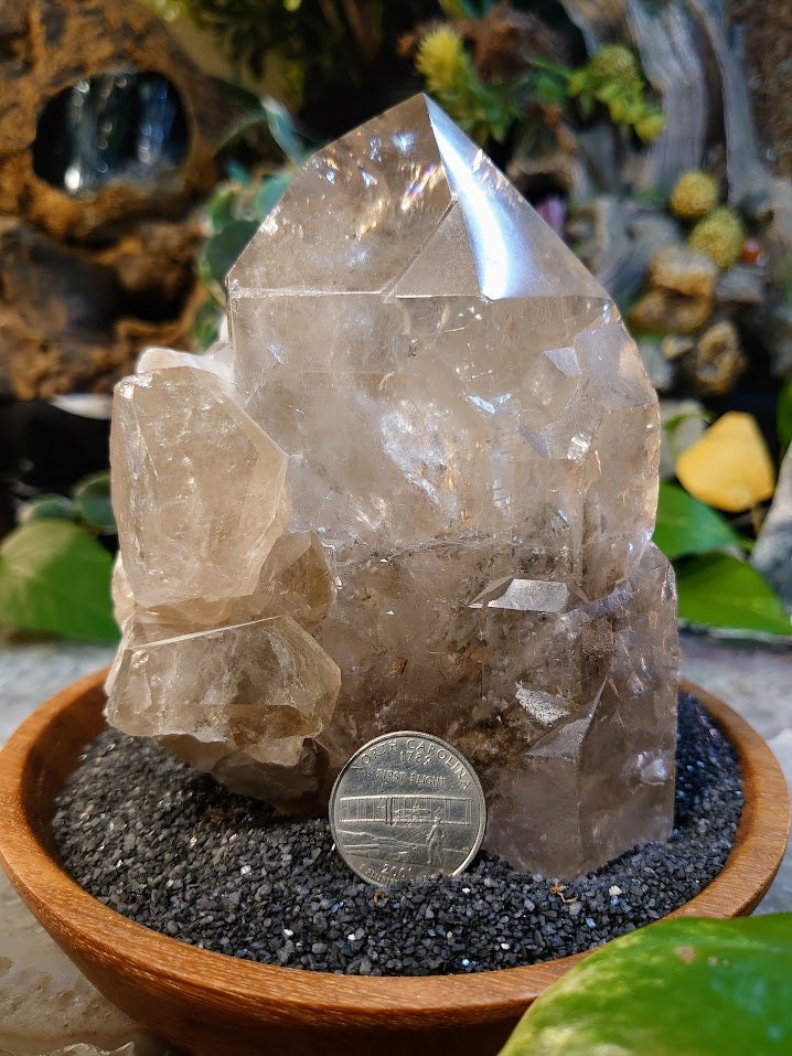 1,497g Smoky Quartz Cluster from Minas Gerais, Brazil for Crystal Healing/ Meditation/ Altar and Home Decor / Collection