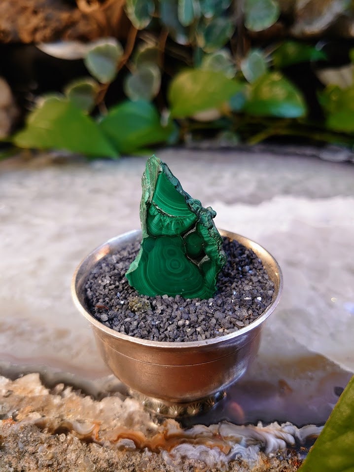 Small Malachite Polished Slice from Kasompe, Congo for Home and Altar Decor / Collection / Crystal Healing