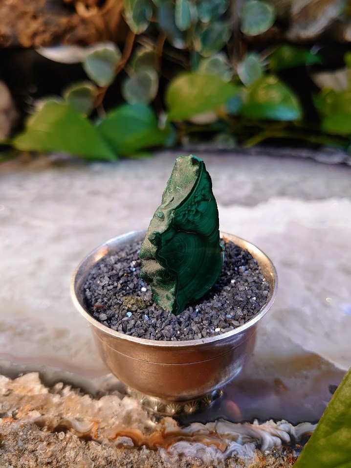 Small Malachite Polished Slice from Kasompe, Congo for Home and Altar Decor / Collection / Crystal Healing
