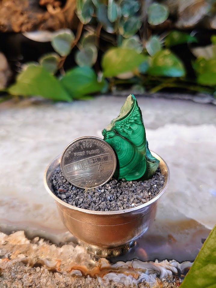 Small Malachite Polished Slice from Kasompe, Congo for Home and Altar Decor / Collection / Crystal Healing