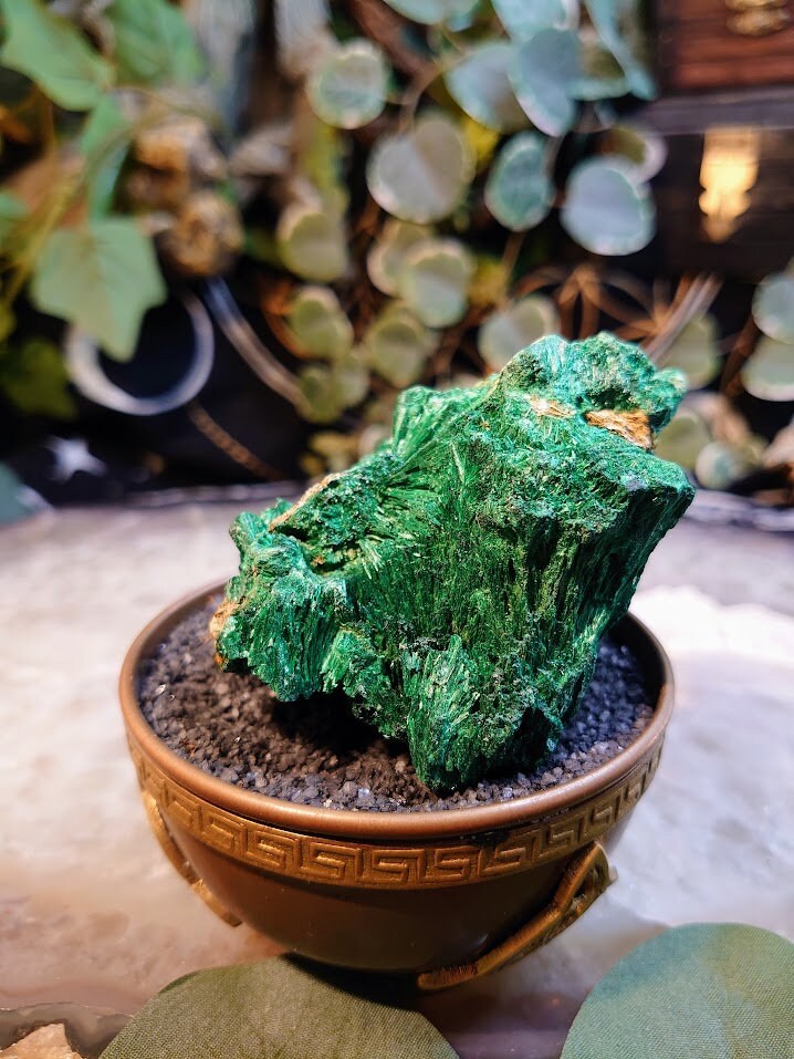 215g Silky Fibrous Malachite Specimen from Kasompe, Congo for Home and Altar Decor / Collection / Crystal Healing