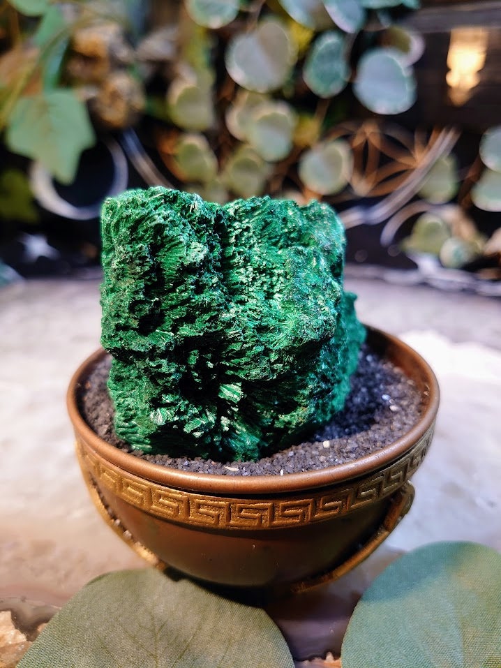 152g Silky Fibrous Malachite Specimen from Kasompe, Congo for Home and Altar Decor / Collection / Crystal Healing