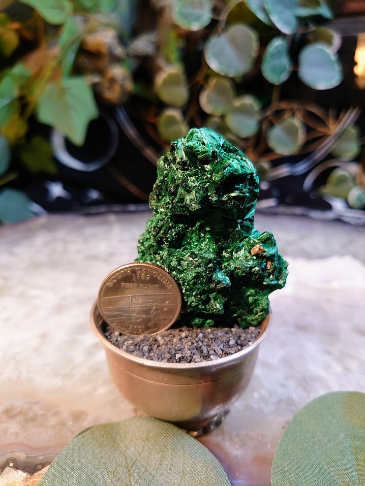 80.2g Silky Fibrous Malachite Specimen from Kasompe, Congo for Home and Altar Decor / Collection / Crystal Healing