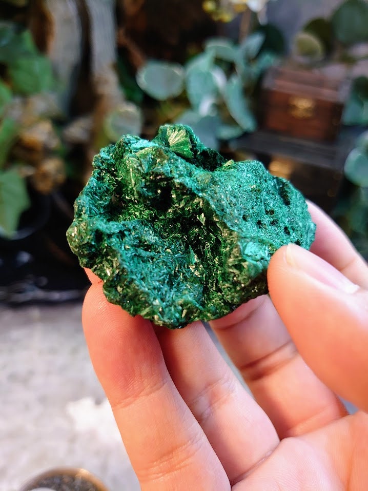 80.2g Silky Fibrous Malachite Specimen from Kasompe, Congo for Home and Altar Decor / Collection / Crystal Healing