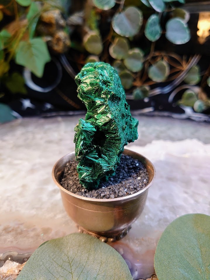 80.2g Silky Fibrous Malachite Specimen from Kasompe, Congo for Home and Altar Decor / Collection / Crystal Healing