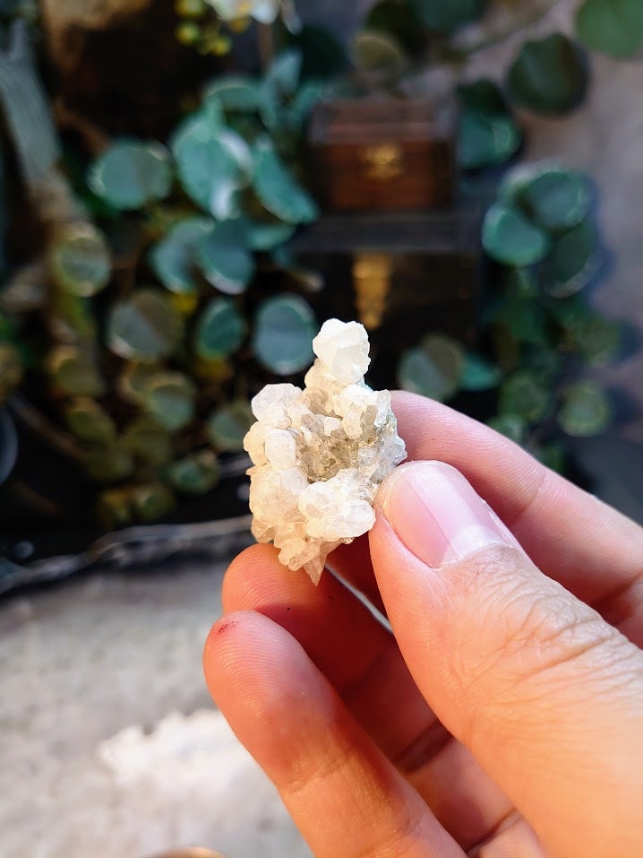 12.3g Clear Quartz and Calcite Cluster From Namibia / Thumbnail Specimen / for Desk Decor / Meditation / Reiki / Collection