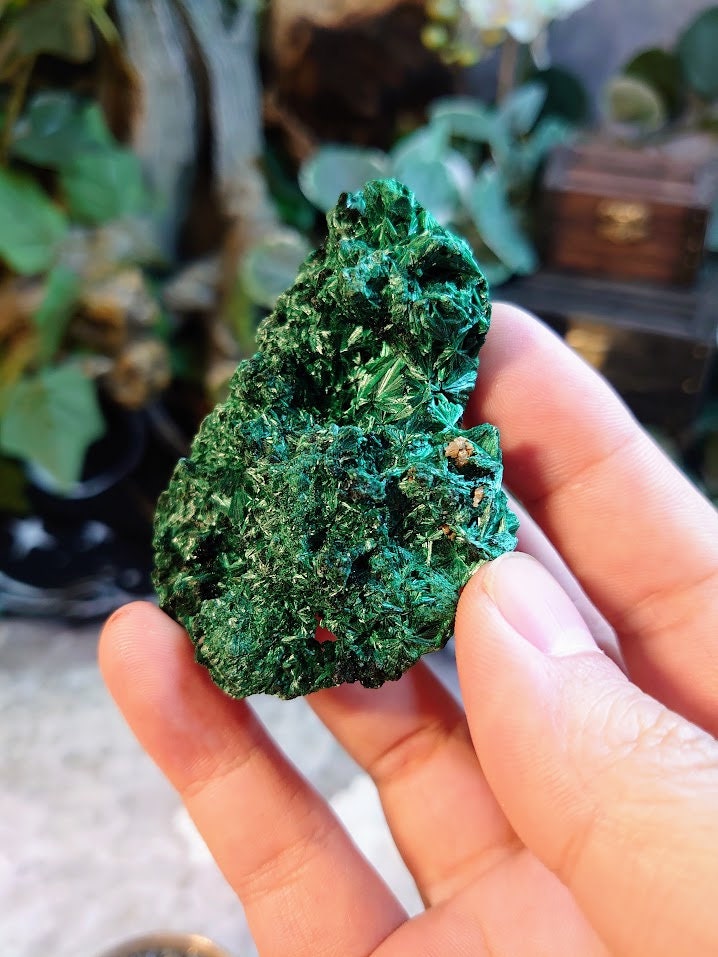 80.2g Silky Fibrous Malachite Specimen from Kasompe, Congo for Home and Altar Decor / Collection / Crystal Healing