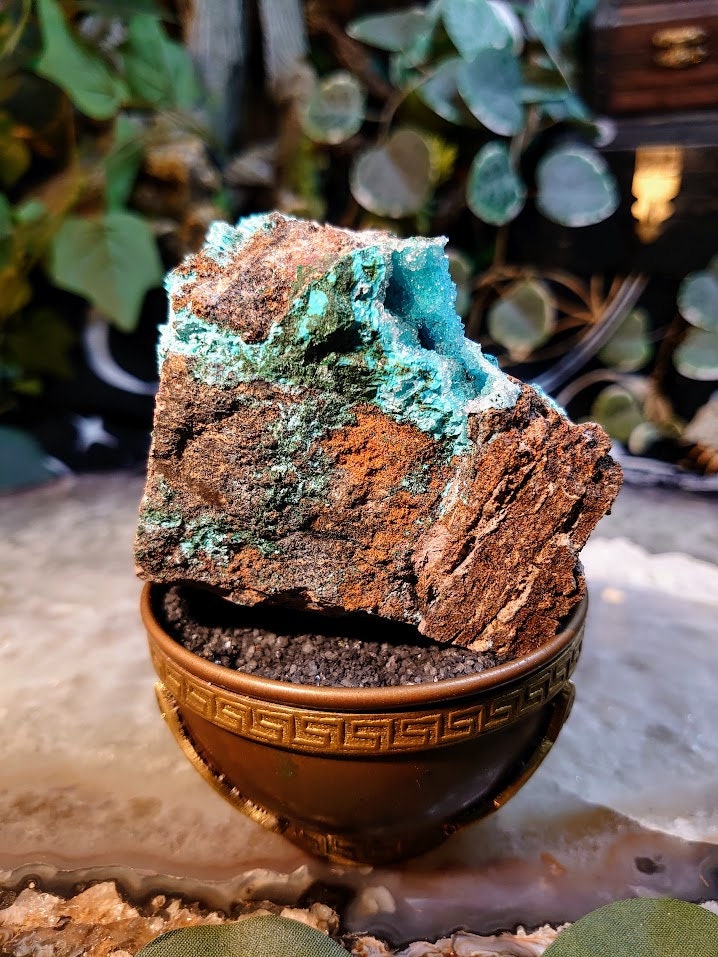 254g Natural Chrysocolla Druzy with Malachite on Matrix for Home and Altar Decor / Energy Work / Crystal Healing / Gifting for Her & Him