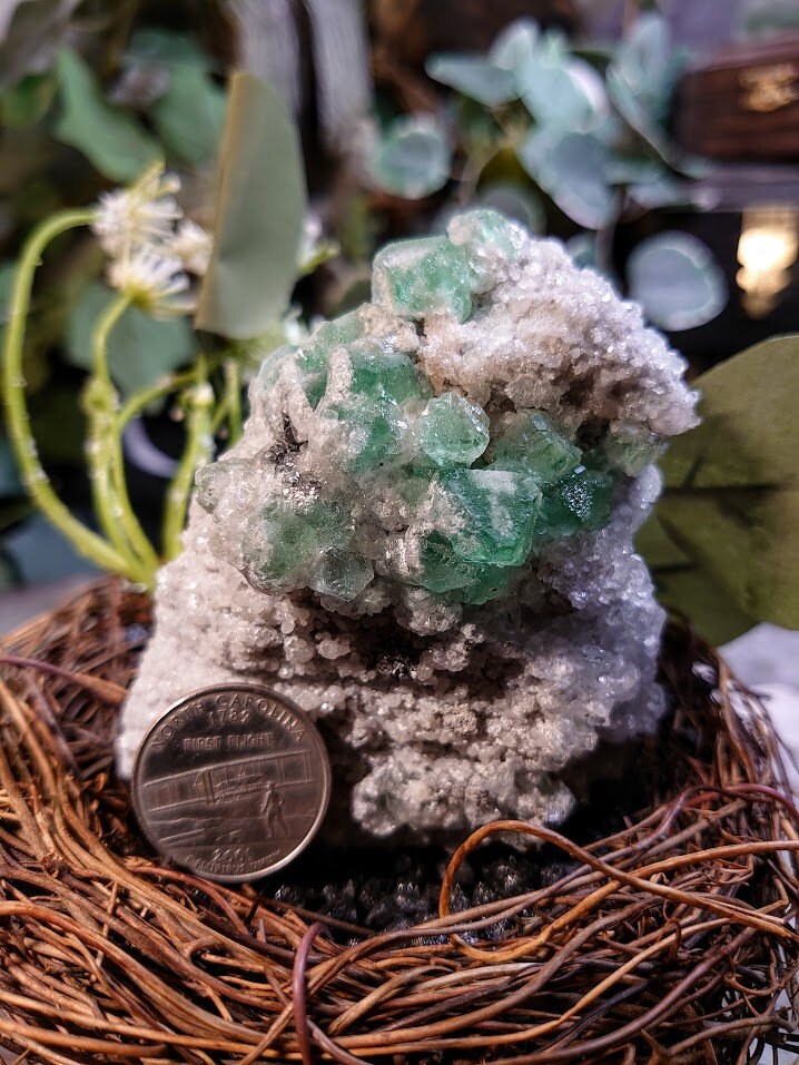 207g Cerro de Pasco Green Fluorite Cluster on Quartz with Pyrite from Peru for Altar Decor / Meditation / Collection / Energy Work