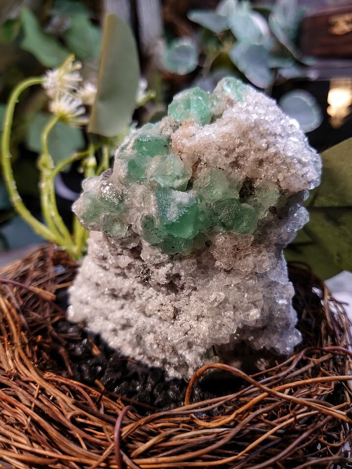 207g Cerro de Pasco Green Fluorite Cluster on Quartz with Pyrite from Peru for Altar Decor / Meditation / Collection / Energy Work
