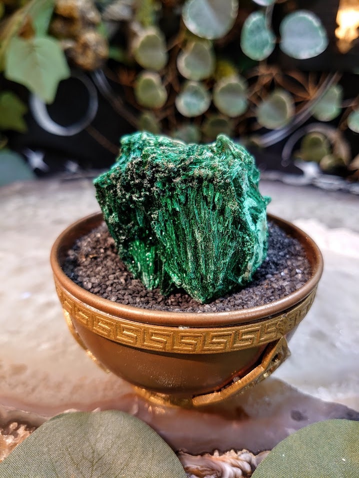 125g Silky Fibrous Malachite Specimen from Kasompe, Congo for Home and Altar Decor / Collection / Crystal Healing