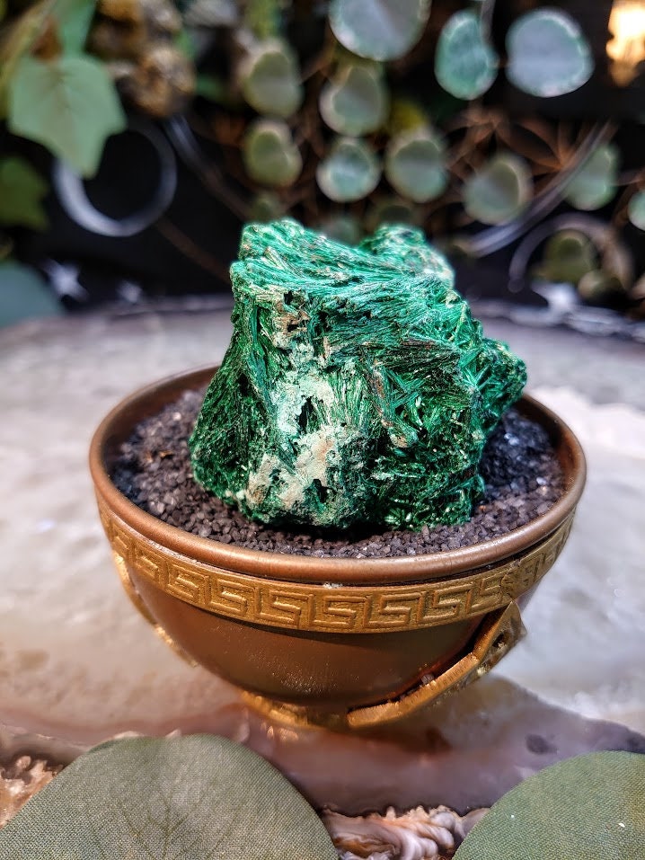 125g Silky Fibrous Malachite Specimen from Kasompe, Congo for Home and Altar Decor / Collection / Crystal Healing