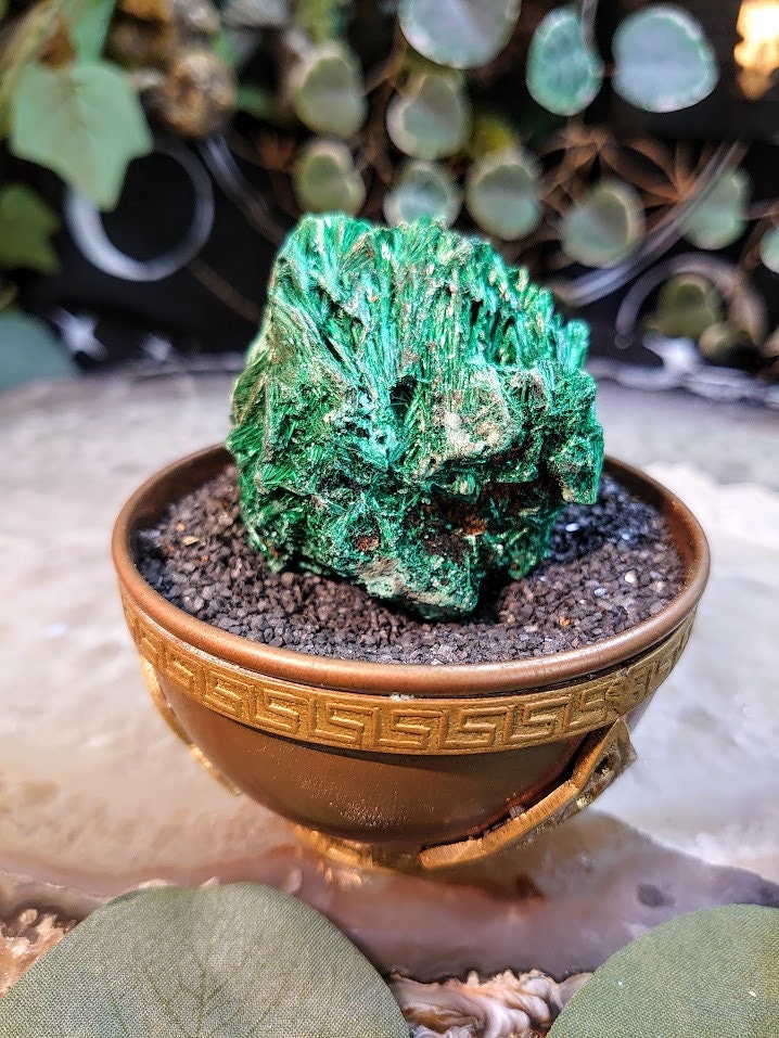 125g Silky Fibrous Malachite Specimen from Kasompe, Congo for Home and Altar Decor / Collection / Crystal Healing