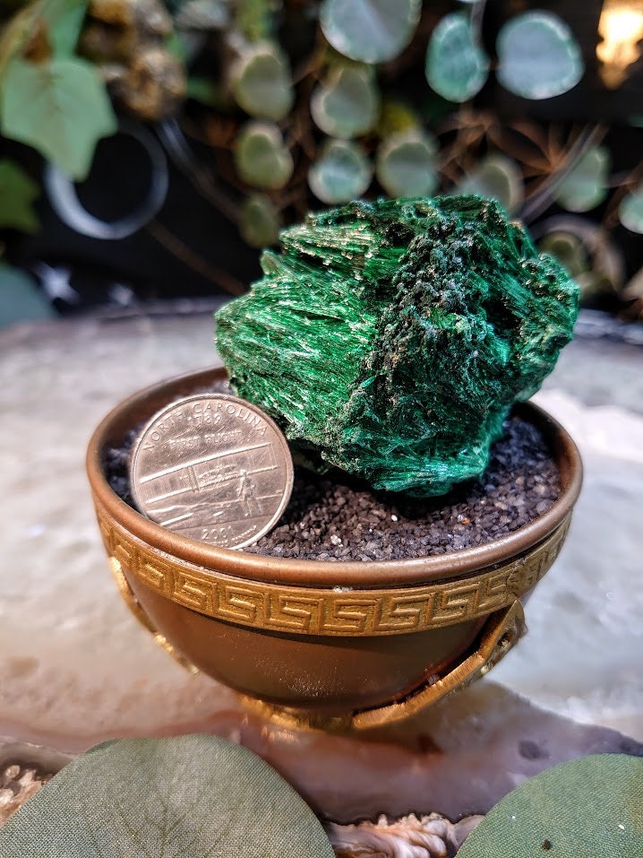 125g Silky Fibrous Malachite Specimen from Kasompe, Congo for Home and Altar Decor / Collection / Crystal Healing