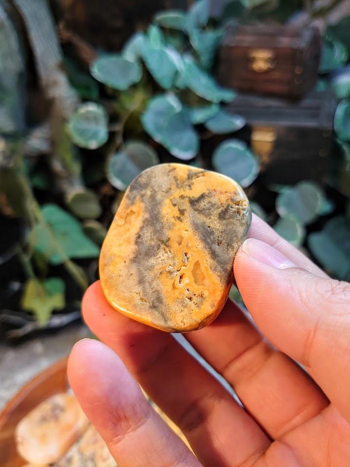 Crazy Lace Agate Polished Slice from Mexico for Home and Altar Decor / Crystal Healing / Tealight Holder / Grid Creation