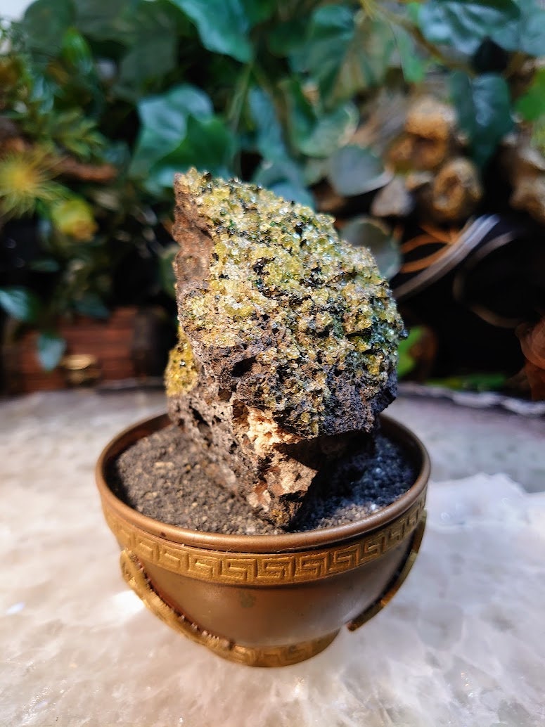 Peridot Druzy with Black Tourmaline on Basalt from Arizona for Home and Altar Decor / 230g / Meditation / Reiki / Gifting / Collection