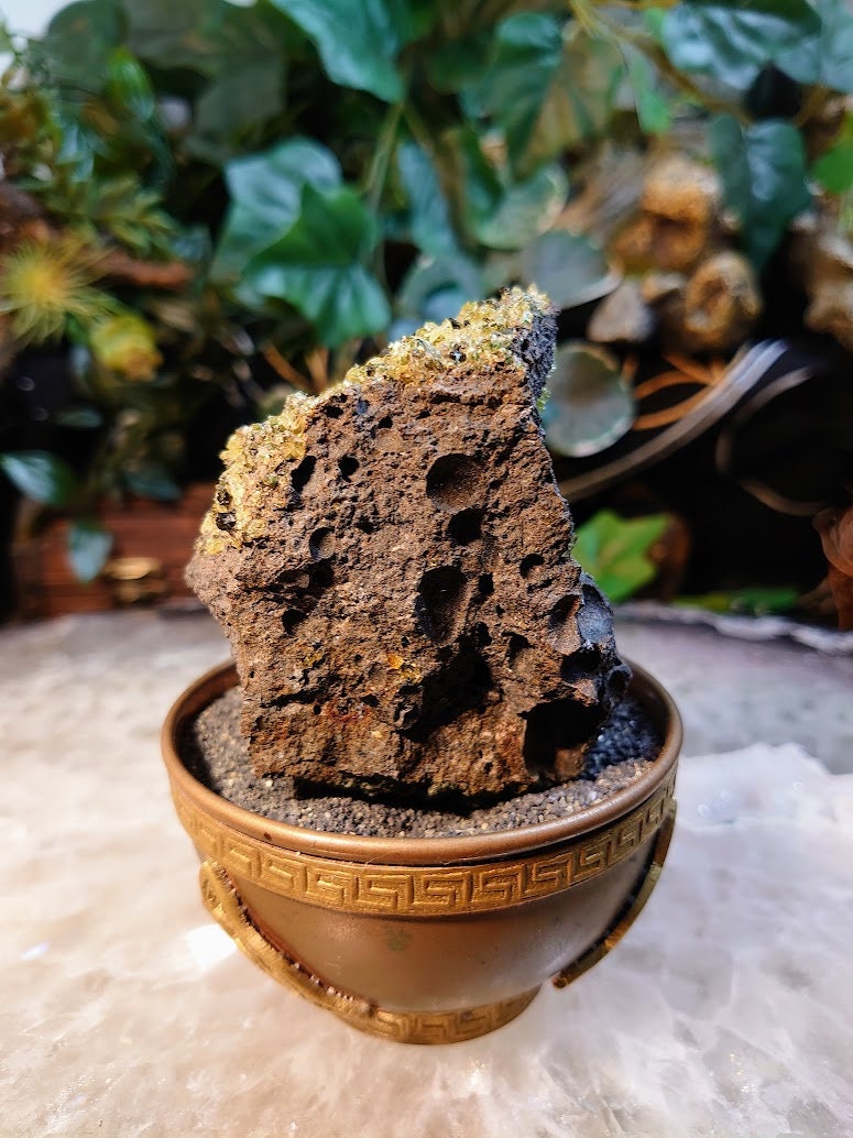 Peridot Druzy with Black Tourmaline on Basalt from Arizona for Home and Altar Decor / 230g / Meditation / Reiki / Gifting / Collection