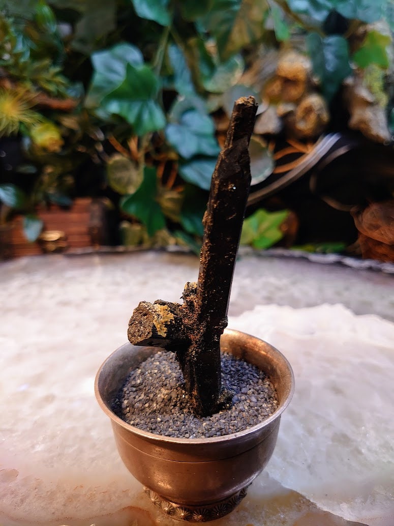 3.5" Glossy Black Aegirine Rod/Cluster from Malawi, Africa for Crystal Healing / 23.8g / Home & Altar Decor / Negative Protection