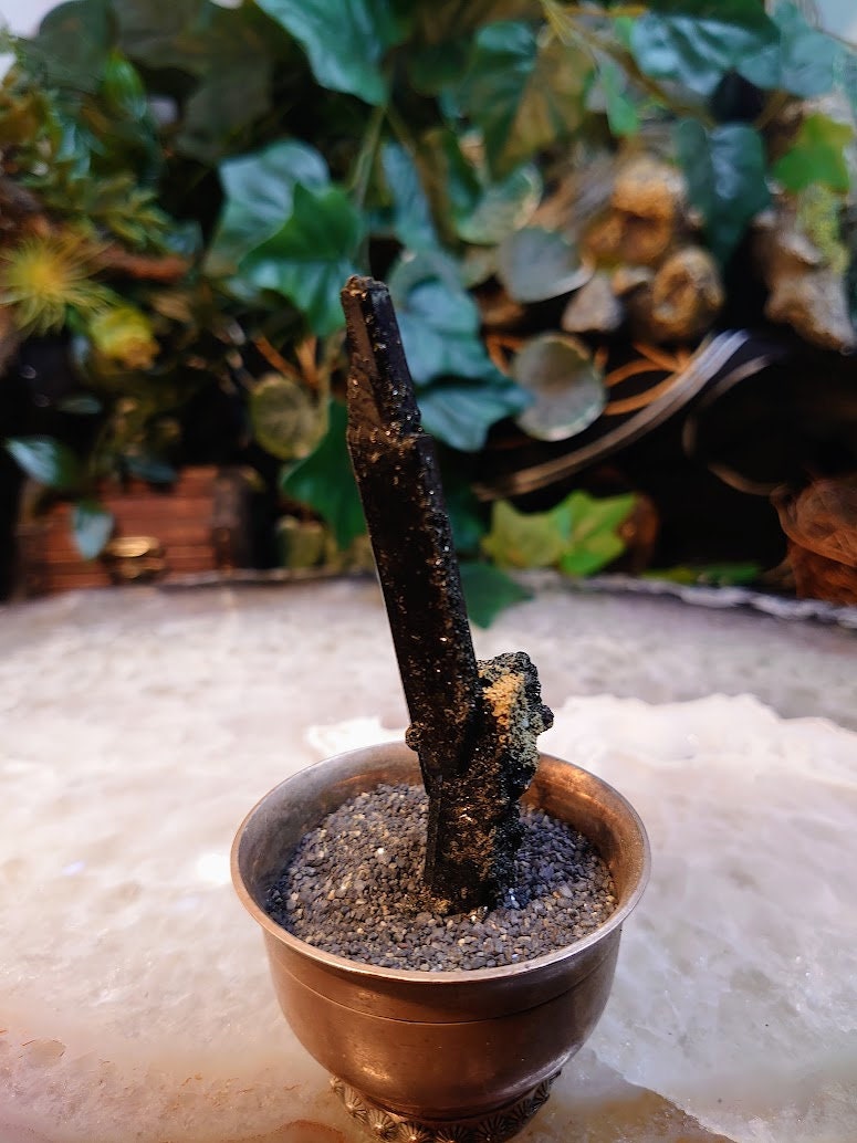 3.5" Glossy Black Aegirine Rod/Cluster from Malawi, Africa for Crystal Healing / 23.8g / Home & Altar Decor / Negative Protection