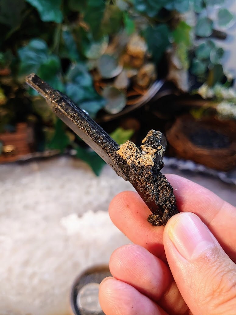 3.5" Glossy Black Aegirine Rod/Cluster from Malawi, Africa for Crystal Healing / 23.8g / Home & Altar Decor / Negative Protection