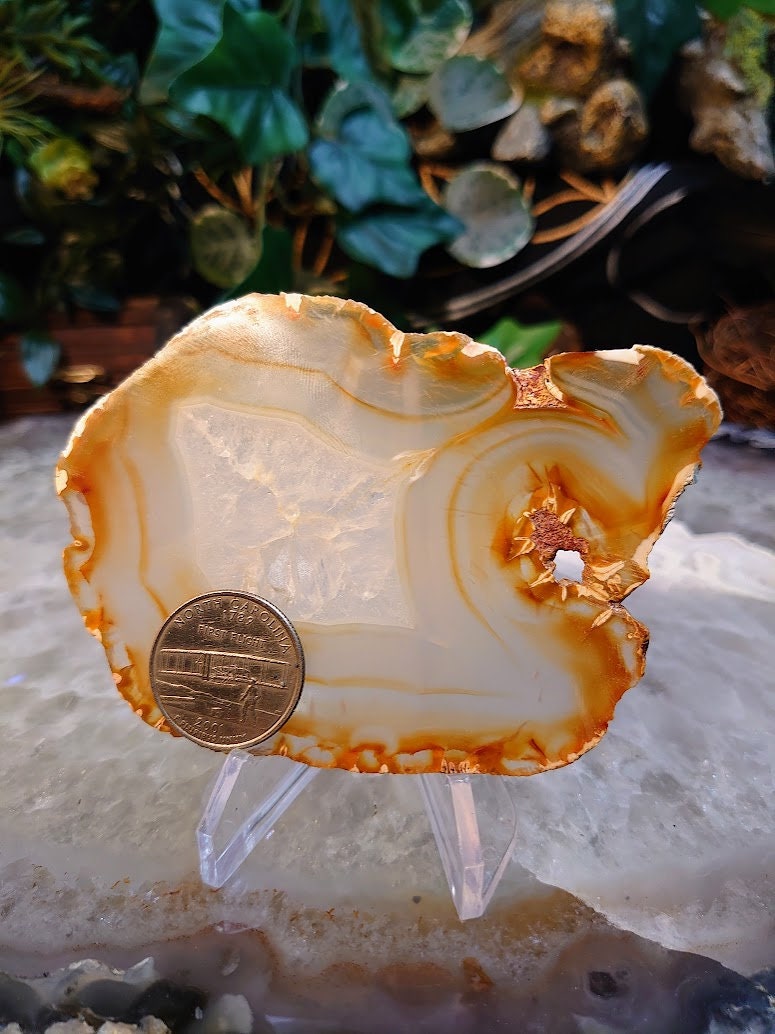 4" Iris Agate Slice from Indonesia for Gemstone Home and Altar Decor/ Crystal Healing and Reiki