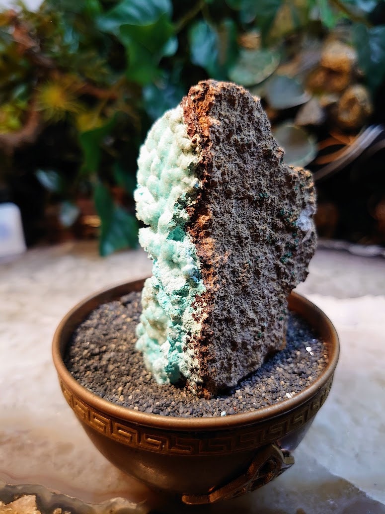 Natural Chrysocolla Druzy on Matrix for Home and Altar Decor / 104.4g / Energy Work / Crystal Healing / Collection