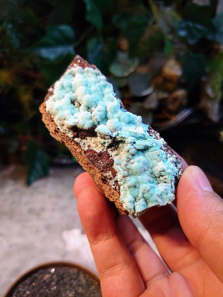 Natural Chrysocolla Druzy on Matrix for Home and Altar Decor / 104.4g / Energy Work / Crystal Healing / Collection