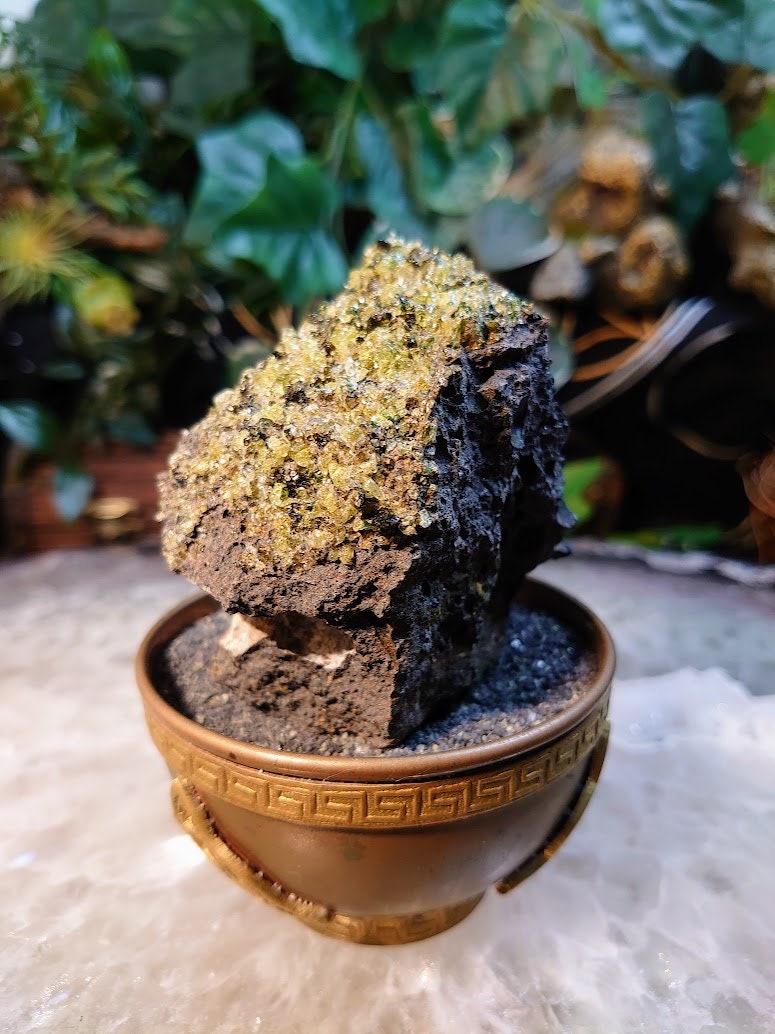 Peridot Druzy with Black Tourmaline on Basalt from Arizona for Home and Altar Decor / 230g / Meditation / Reiki / Gifting / Collection