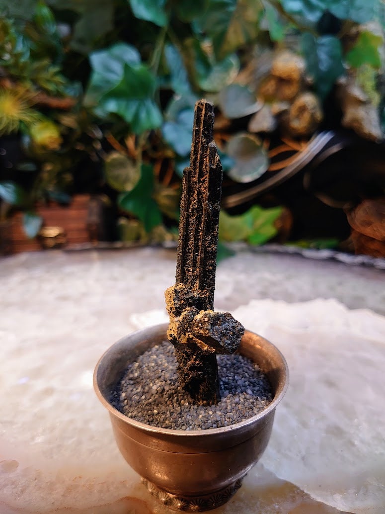 3.5" Glossy Black Aegirine Rod/Cluster from Malawi, Africa for Crystal Healing / 23.8g / Home & Altar Decor / Negative Protection