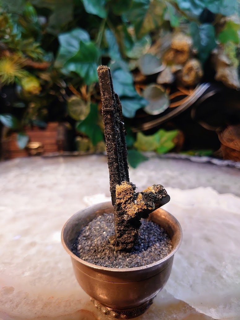 3.5" Glossy Black Aegirine Rod/Cluster from Malawi, Africa for Crystal Healing / 23.8g / Home & Altar Decor / Negative Protection