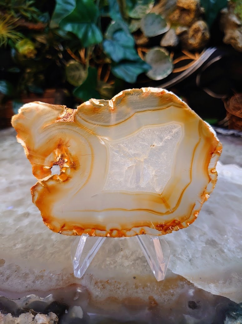 4" Iris Agate Slice from Indonesia for Gemstone Home and Altar Decor/ Crystal Healing and Reiki
